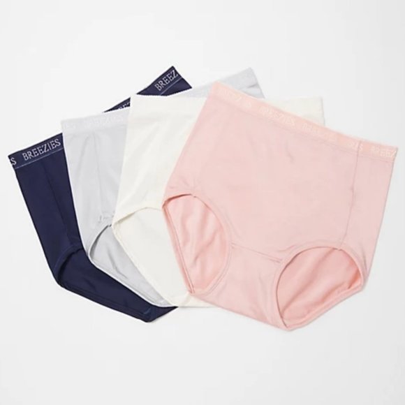 Breezies Set of 4 Nylon Microfiber Brief Panty  2533 - Picture 1 of 4